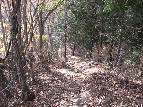 20181126hike (140)